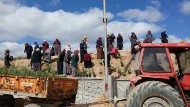 Karakeçili’de fidan dikimine başlandı - Kırıkkale Haber, Son Dakika Kırıkkale Haberleri Karakeçili’de fidan dikimine başlandı - Kırıkkale Haber, Son Dakika Kırıkkale Haberleri