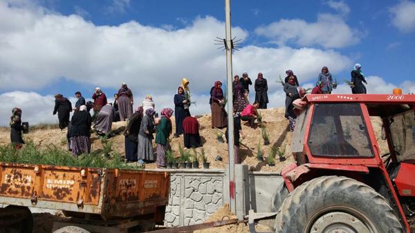 Karakeçili’de fidan dikimine başlandı - Kırıkkale Haber, Son Dakika Kırıkkale Haberleri Karakeçili’de fidan dikimine başlandı - Kırıkkale Haber, Son Dakika Kırıkkale Haberleri
