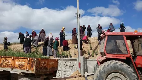 Karakeçili’de fidan dikimine başlandı - Kırıkkale Haber, Son Dakika Kırıkkale Haberleri Karakeçili’de fidan dikimine başlandı - Kırıkkale Haber, Son Dakika Kırıkkale Haberleri