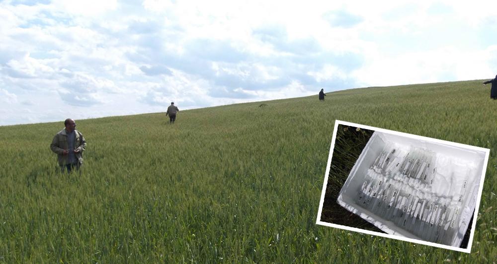 Parazitle mücadele - Kırıkkale Haber, Son Dakika Kırıkkale Haberleri