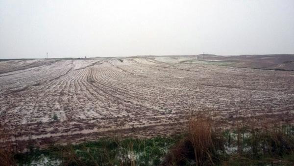 Dolu çiftçileri mağdur etti - Kırıkkale Haber, Son Dakika Kırıkkale Haberleri Dolu çiftçileri mağdur etti - Kırıkkale Haber, Son Dakika Kırıkkale Haberleri