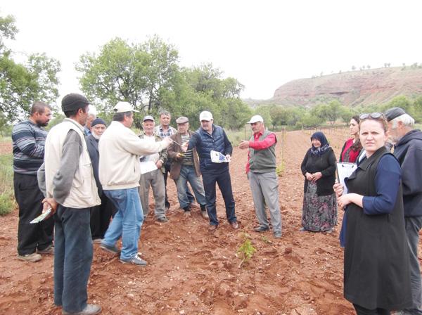 Kırbaş, çiftçilere kök Uru’nu anlattı - Kırıkkale Haber, Son Dakika Kırıkkale Haberleri