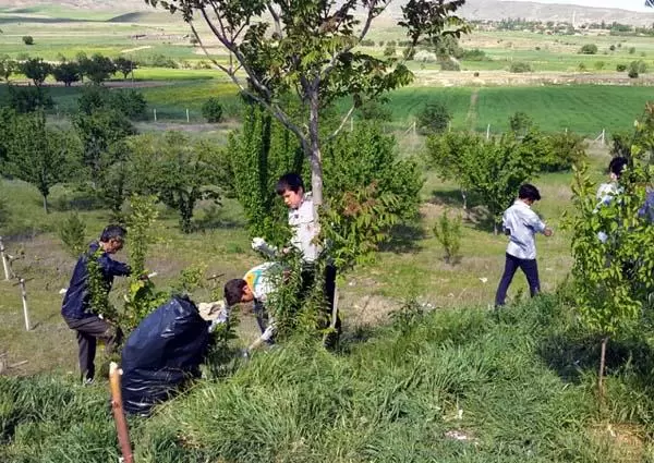 İzcilerin çevre temizliği duyarlılığı - Kırıkkale Haber, Son Dakika Kırıkkale Haberleri İzcilerin çevre temizliği duyarlılığı - Kırıkkale Haber, Son Dakika Kırıkkale Haberleri