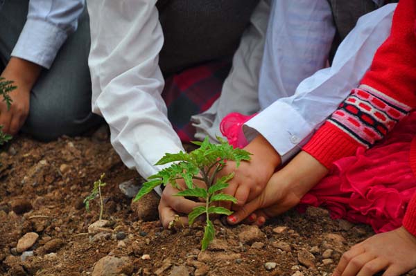 Kırıkkale’de öğrenciler başlattıkları proje kapsamında yaşlı, kimsesiz, engelli ve bakıma muhtaç kişiler için sebze ve meyve yetiştiriyor. ( Ahmet Kavaklı – Anadolu Ajansı ) Minik elleriyle yardıma koşuyorlar - Kırıkkale Haber, Son Dakika Kırıkkale Haberleri