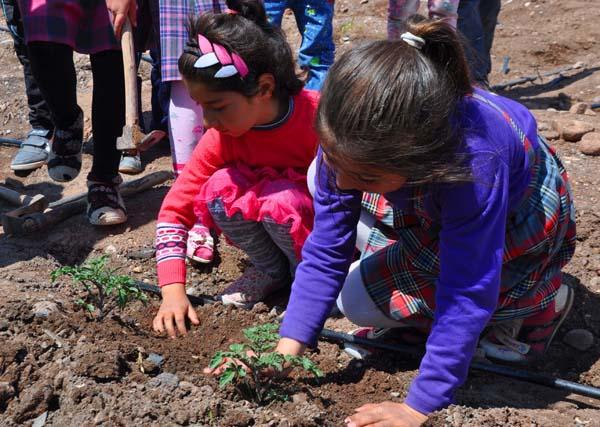 Minik elleriyle yardıma koşuyorlar - Kırıkkale Haber, Son Dakika Kırıkkale Haberleri