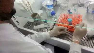 Parazitle mücadele için Çalışma - Kırıkkale Haber, Son Dakika Kırıkkale Haberleri Parazitle mücadele için Çalışma - Kırıkkale Haber, Son Dakika Kırıkkale Haberleri