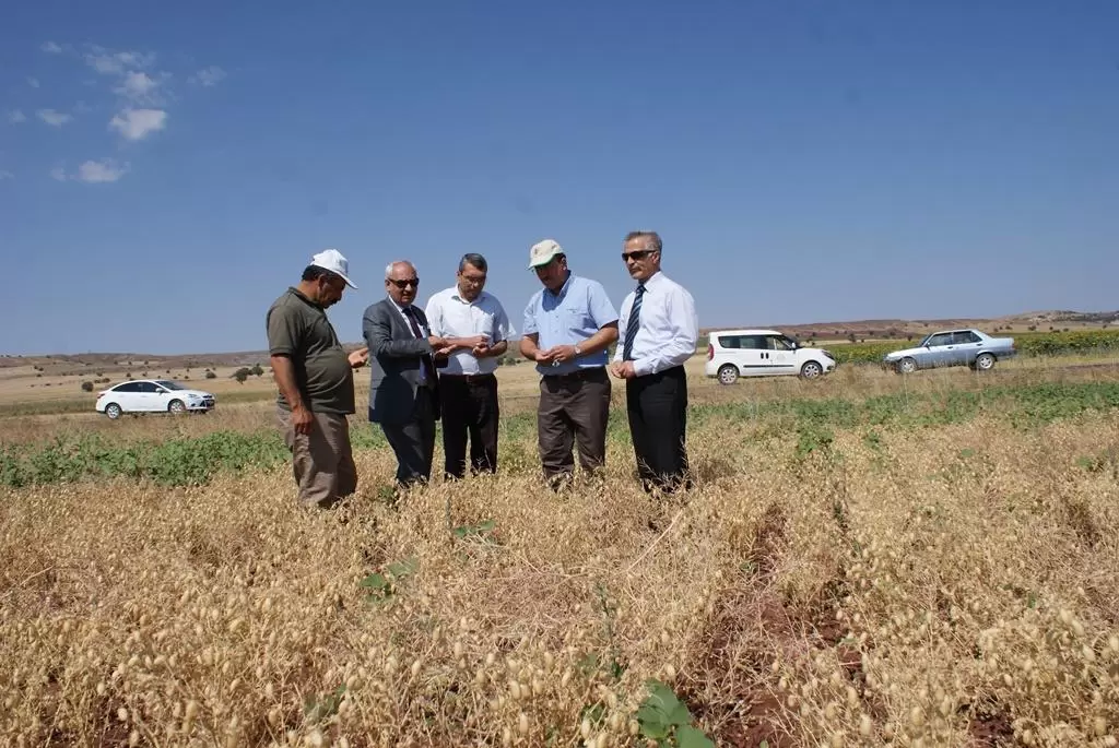 BAKLAGİL AŞILAMANIN ETKİSİ - Kırıkkale Haber, Son Dakika Kırıkkale Haberleri BAKLAGİL AŞILAMANIN ETKİSİ - Kırıkkale Haber, Son Dakika Kırıkkale Haberleri
