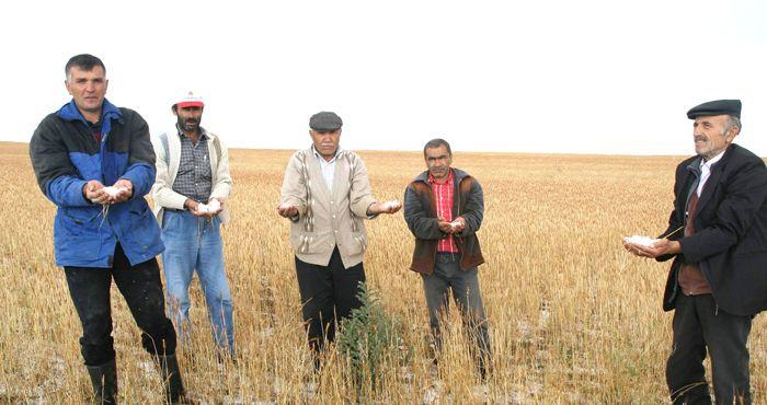 Çiftçilerin Kredi Borçları Erteleniyor - Kırıkkale Haber, Son Dakika Kırıkkale Haberleri