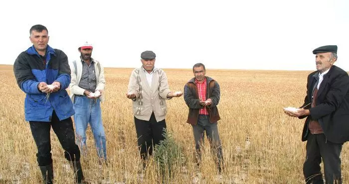 Çiftçilerin Kredi Borçları Erteleniyor - Kırıkkale Haber, Son Dakika Kırıkkale Haberleri Çiftçilerin Kredi Borçları Erteleniyor - Kırıkkale Haber, Son Dakika Kırıkkale Haberleri