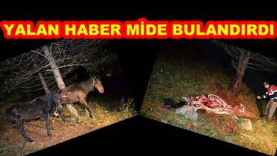 SOSYAL MEDYADA YAYILDI - Kırıkkale Haber, Son Dakika Kırıkkale Haberleri
