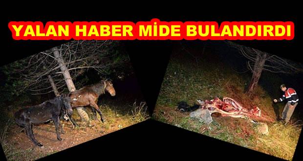 SOSYAL MEDYADA YAYILDI - Kırıkkale Haber, Son Dakika Kırıkkale Haberleri