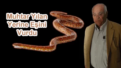 Yılana Ateş Ederken Eşini Vurdu - Kırıkkale Haber, Son Dakika Kırıkkale Haberleri