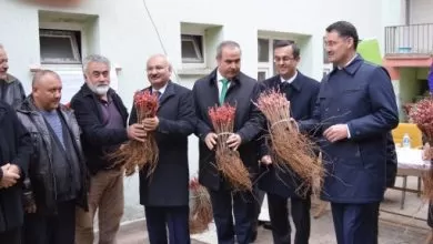 Delice’ye, Delice’den Bağ Fidanı - Kırıkkale Haber, Son Dakika Kırıkkale Haberleri