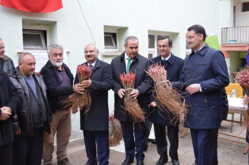 Delice’ye, Delice’den Bağ Fidanı - Kırıkkale Haber, Son Dakika Kırıkkale Haberleri