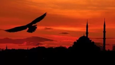 Dünyanın aydınlandığı gün - Kırıkkale Haber, Son Dakika Kırıkkale Haberleri Dünyanın aydınlandığı gün - Kırıkkale Haber, Son Dakika Kırıkkale Haberleri