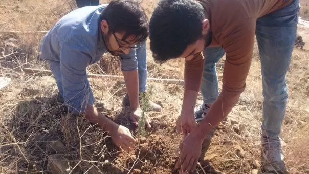 K.Ü’de ağaç dikimi - Kırıkkale Haber, Son Dakika Kırıkkale Haberleri K.Ü’de ağaç dikimi - Kırıkkale Haber, Son Dakika Kırıkkale Haberleri