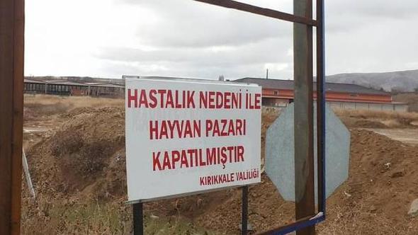 Şap hastalığı pazarı kapattı - Kırıkkale Haber, Son Dakika Kırıkkale Haberleri