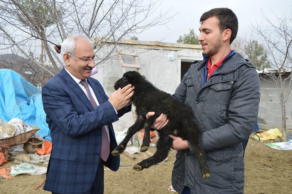 Damızlık hayvan yetiştiriciliği artıyor - Kırıkkale Haber, Son Dakika Kırıkkale Haberleri