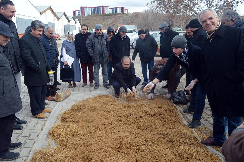 Kavaktan sofraya istiridye mantarı - Kırıkkale Haber, Son Dakika Kırıkkale Haberleri