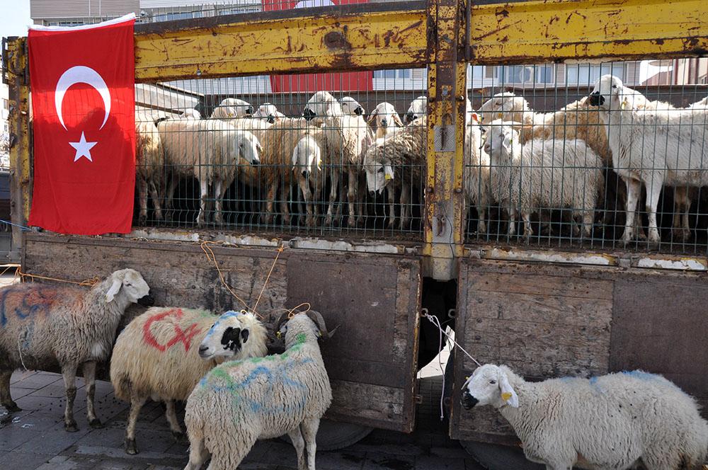 Peygamber mesleğinden Peygamber ocağına destek - Kırıkkale Haber, Son Dakika Kırıkkale Haberleri