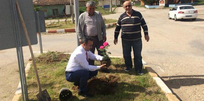 Sulakyurt Gül Bahçesine Dönüşüyor - Kırıkkale Haber, Son Dakika Kırıkkale Haberleri