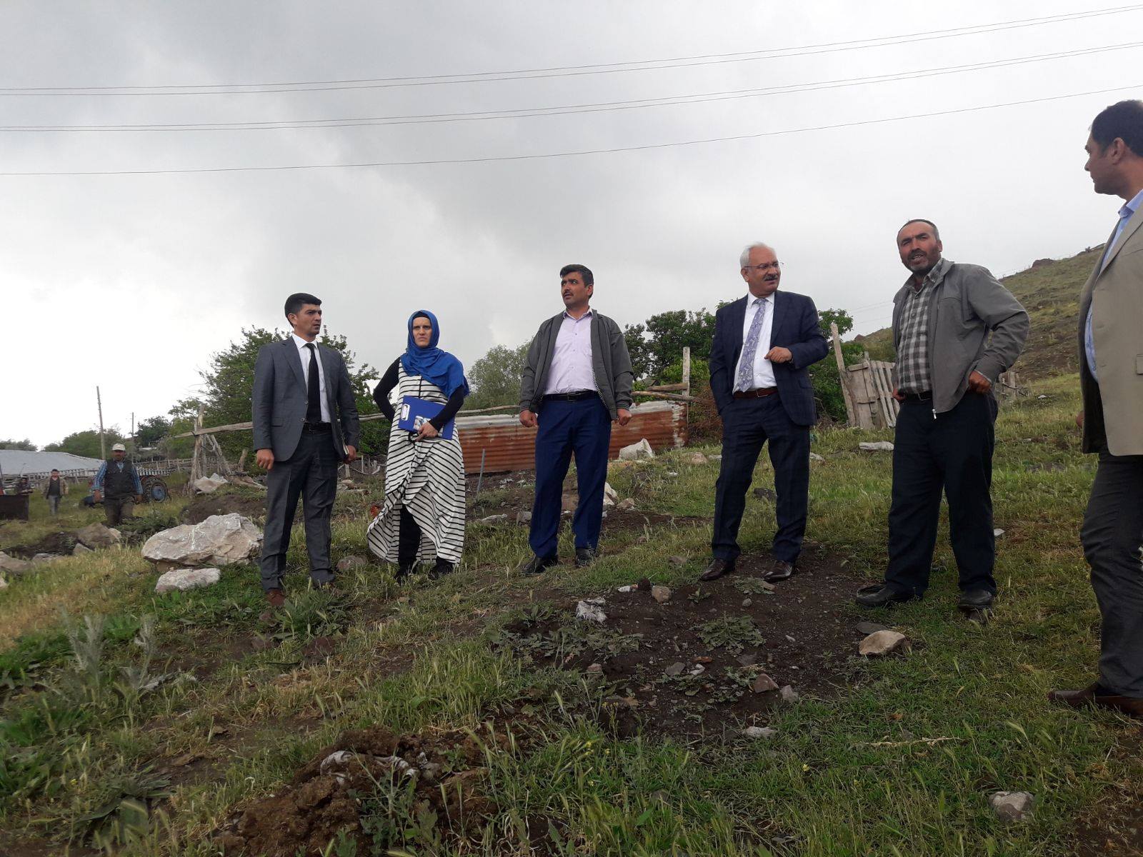 65 hayvan telef oldu - Kırıkkale Haber, Son Dakika Kırıkkale Haberleri