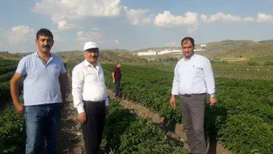 Kırıkkale tarımının geleceği parlak - Kırıkkale Haber, Son Dakika Kırıkkale Haberleri