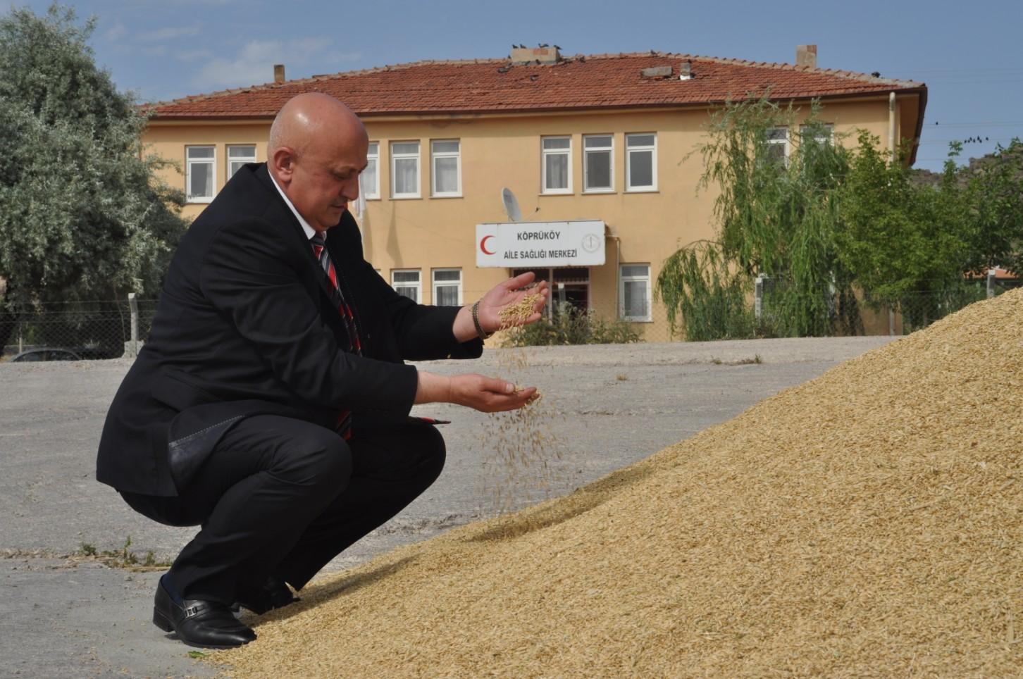 Kırıkkale’de hububat hasadı başladı - Kırıkkale Haber, Son Dakika Kırıkkale Haberleri