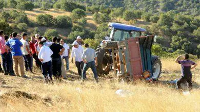 Bayram pikniği zehir oldu: 25 yaralı - Kırıkkale Haber, Son Dakika Kırıkkale Haberleri