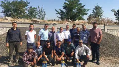 Yağlık ayçekirdeği alımı başladı - Kırıkkale Haber, Son Dakika Kırıkkale Haberleri