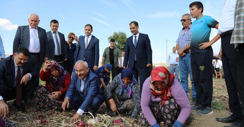 Kılıçlar Soğanında hasat sevinci - Kırıkkale Haber, Son Dakika Kırıkkale Haberleri