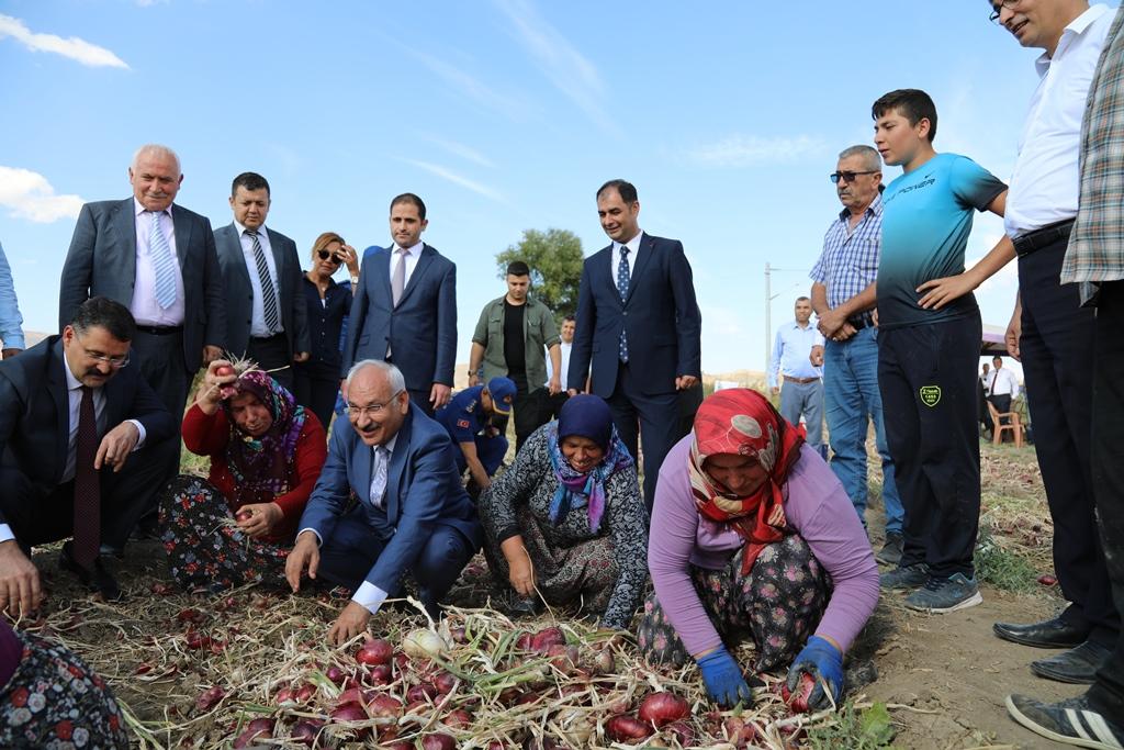 Kılıçlar Soğanında hasat sevinci - Kırıkkale Haber, Son Dakika Kırıkkale Haberleri