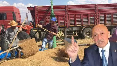 TMO 152 bin ton alım yaptı - Kırıkkale Haber, Son Dakika Kırıkkale Haberleri