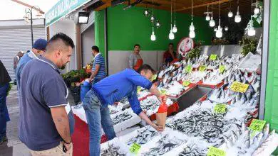 Derya kuzuları bunlar… - Kırıkkale Haber, Son Dakika Kırıkkale Haberleri