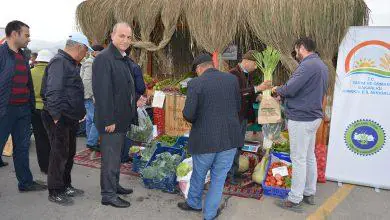 Organik Tarım Standına Yoğun İlgi - Kırıkkale Haber, Son Dakika Kırıkkale Haberleri