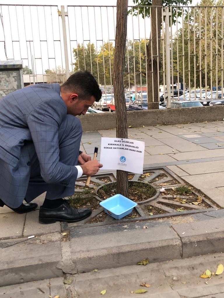 Ülkü ocakları sokak hayvanlarına mama bıraktı - Kırıkkale Haber, Son Dakika Kırıkkale Haberleri