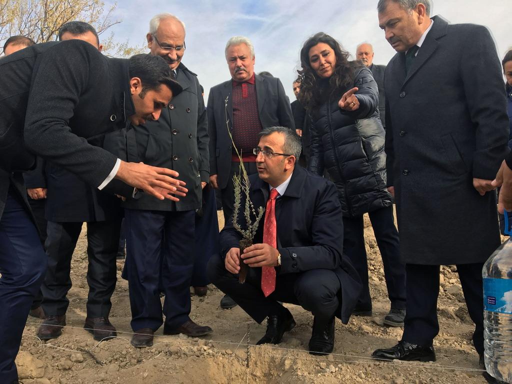 Lavanta Vadisi oluşturuluyor - Kırıkkale Haber, Son Dakika Kırıkkale Haberleri