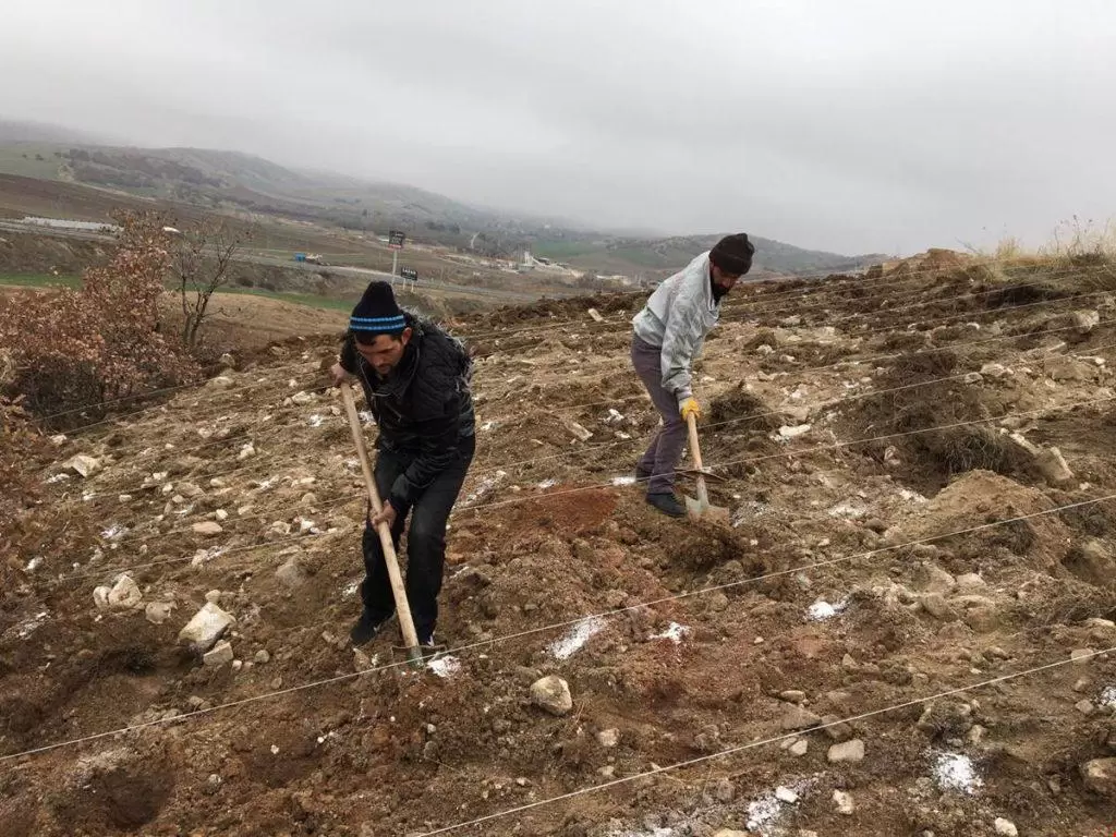 Balışeyh’te Kaymakamlık tarafından başlatılan proje kapsamında oluşturulan 35 dönümlük araziye 15 bin fide dikimi daha yapılarak toplamda 33 bin fide dikilmiş oldu. Balışeyh Lavanta Vadisi’ne 15 Bin Fide Daha Dikildi - Kırıkkale Haber, Son Dakika Kırıkkale Haberleri