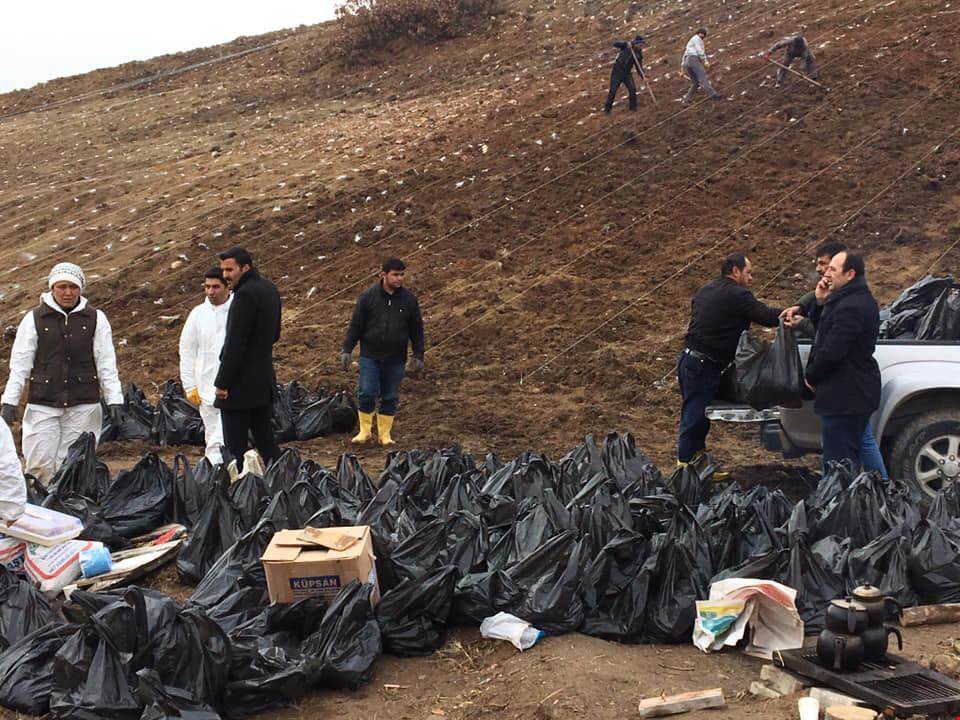 Balışeyh Lavanta Vadisi’ne 15 Bin Fide Daha Dikildi - Kırıkkale Haber, Son Dakika Kırıkkale Haberleri