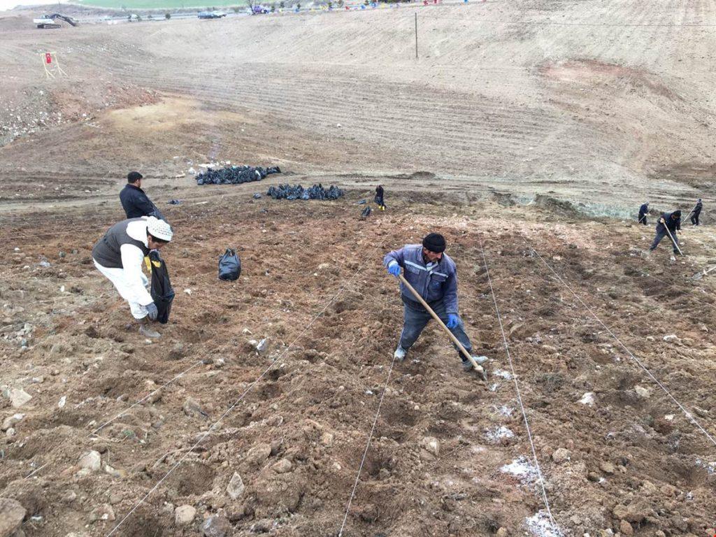 Balışeyh Lavanta Vadisi’ne 15 Bin Fide Daha Dikildi - Kırıkkale Haber, Son Dakika Kırıkkale Haberleri