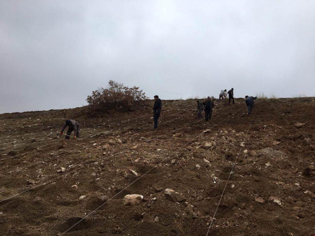 Balışeyh Lavanta Vadisi’ne 15 Bin Fide Daha Dikildi - Kırıkkale Haber, Son Dakika Kırıkkale Haberleri