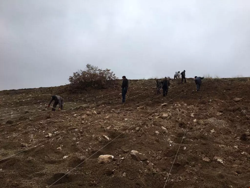 Balışeyh’te Kaymakamlık tarafından başlatılan proje kapsamında oluşturulan 35 dönümlük araziye 15 bin fide dikimi daha yapılarak toplamda 33 bin fide dikilmiş oldu. Balışeyh Lavanta Vadisi’ne 15 Bin Fide Daha Dikildi - Kırıkkale Haber, Son Dakika Kırıkkale Haberleri