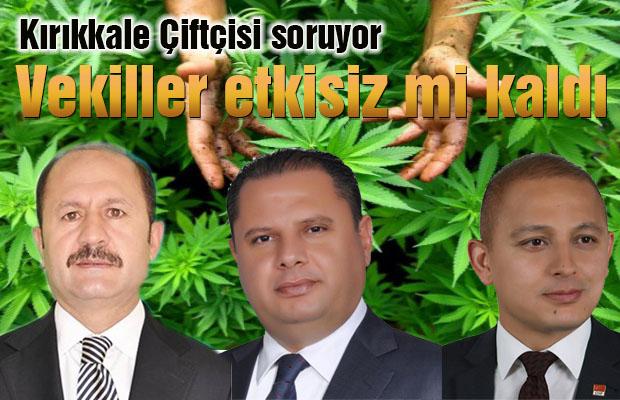 Vekiller etkisiz mi kaldı? - Kırıkkale Haber, Son Dakika Kırıkkale Haberleri