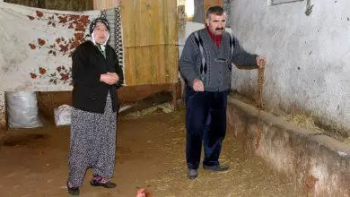 Şehit ailesini dolandıranlar yakalandı - Kırıkkale Haber, Son Dakika Kırıkkale Haberleri Şehit ailesini dolandıranlar yakalandı - Kırıkkale Haber, Son Dakika Kırıkkale Haberleri