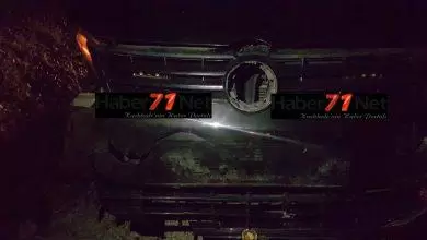 Domuz Sürüsüne Çarptı - Kırıkkale Haber, Son Dakika Kırıkkale Haberleri