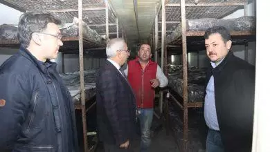 Mantar yetiştiriciliği üreticiye alternatif oldu - Kırıkkale Haber, Son Dakika Kırıkkale Haberleri