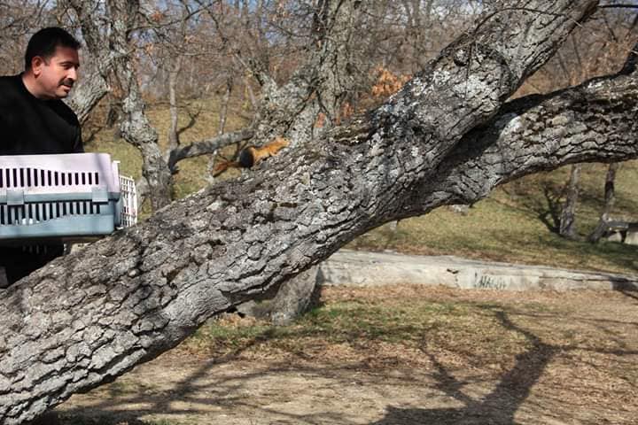 Sincabı kurtaran ihbar - Kırıkkale Haber, Son Dakika Kırıkkale Haberleri