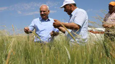 200 bin dekar tarım arazisi ilaçlanıyor - Kırıkkale Haber, Son Dakika Kırıkkale Haberleri