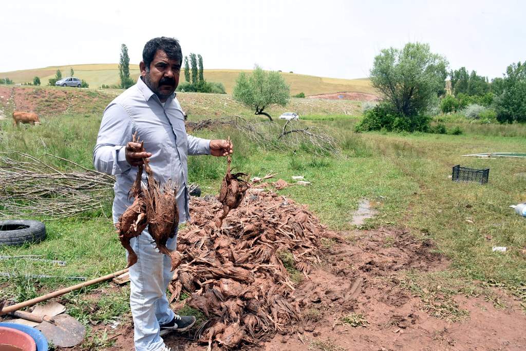 718 hindisi selde telef oldu - Kırıkkale Haber, Son Dakika Kırıkkale Haberleri