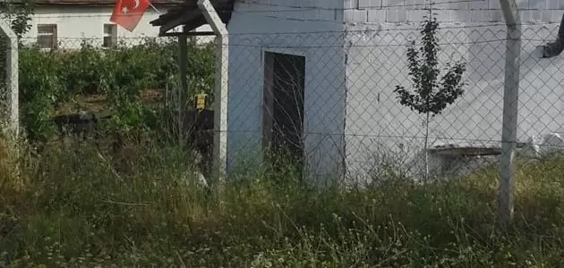 Delicede Zehirlenme - Kırıkkale Haber, Son Dakika Kırıkkale Haberleri Delicede Zehirlenme - Kırıkkale Haber, Son Dakika Kırıkkale Haberleri